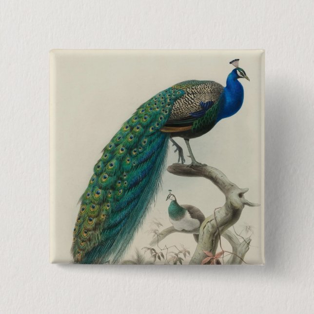 Vintage Peacock 15 Cm Square Badge (Front)