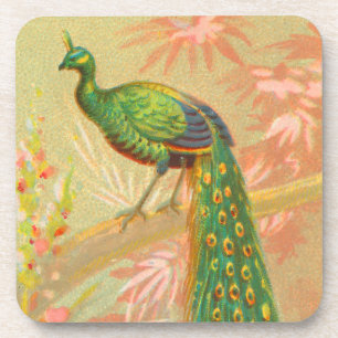 Vintage Peacock and flowers painting Coaster