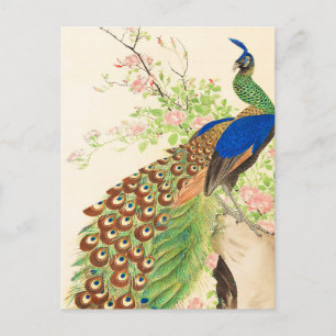 Vintage Peacock and flowers painting Postcard