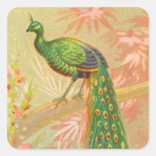Vintage Peacock and flowers painting Square Sticker