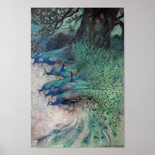 Vintage Peacock Book Illustration Poster (Front)
