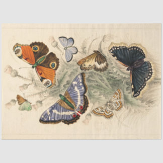Vintage Peacock Butterflies Artistic Decoupage  Tissue Paper