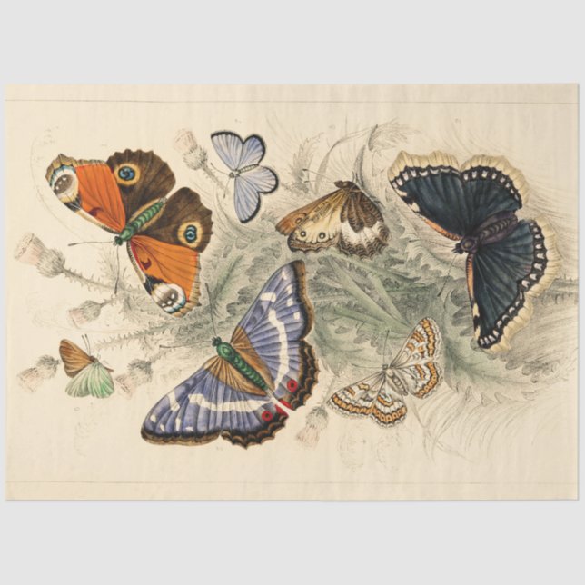 Vintage Peacock Butterflies Artistic Decoupage  Tissue Paper (Front)