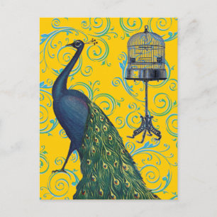 Vintage Peacock & Cage Postcard