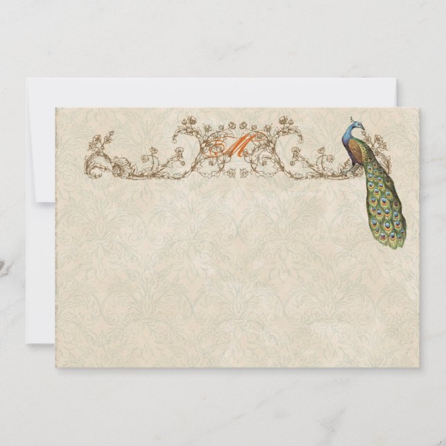 Vintage Peacock & Etchings Thank You Note Cards (Front)