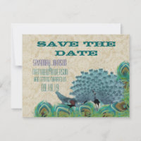 Vintage Peacock Feathers Save the Date