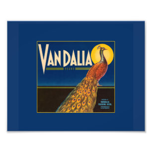 Vintage Peacock Fruit Crate Label Photo Print