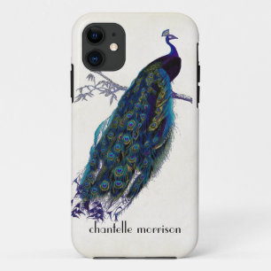 Vintage Peacock Full Feathers on Tattered Lace Case-Mate iPhone Case