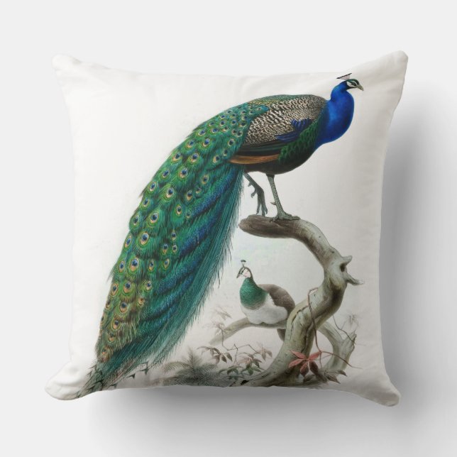 Vintage Peacock Illustration Cushion (Front)