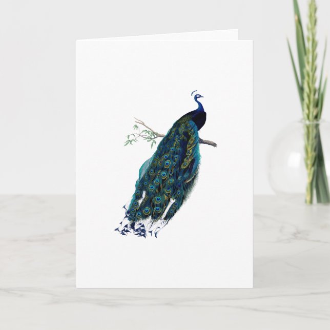 Vintage Peacock Illustration greeting Card (Front)