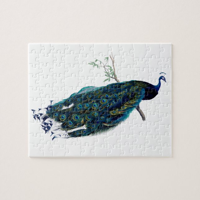 VIntage Peacock Illustration Jigsaw Puzzle (Horizontal)