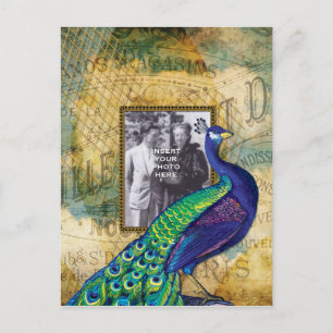 Vintage Peacock in Paris Frame Postcard