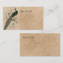 Vintage Peacock Natural History Print