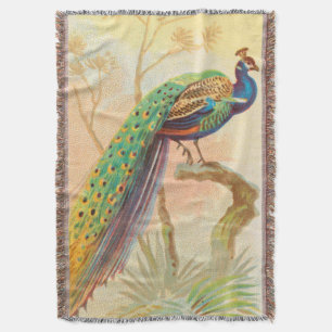 Vintage Peacock on a branch painting Throw Blanket