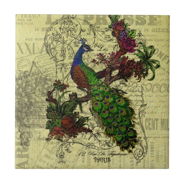 Vintage Peacock on Branch Apparel and Gifts Tile (Front)