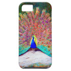 Vintage Peacock Painting