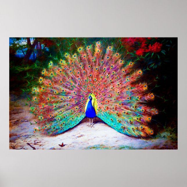 Vintage Peacock Painting Poster (Front)