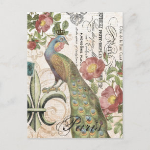 Vintage Peacock postcard