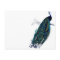 Vintage Peacock