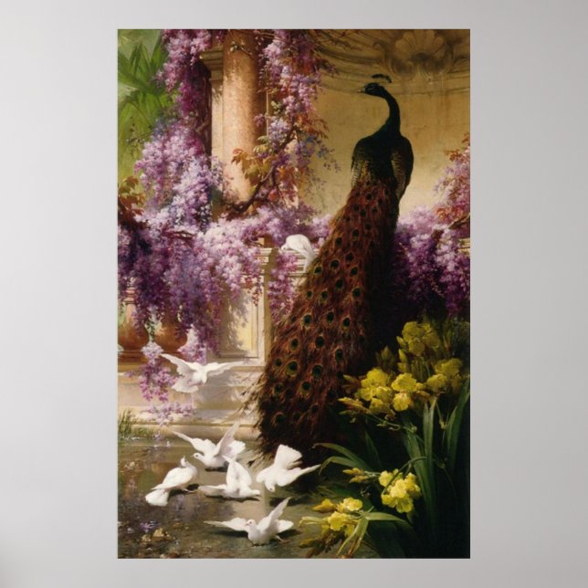 Vintage Peacock Poster (Front)