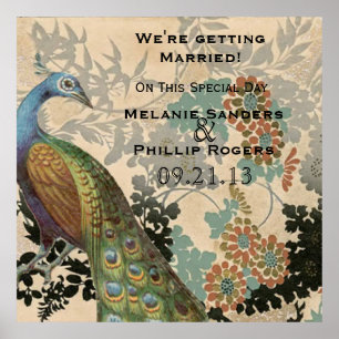 Vintage Peacock Poster