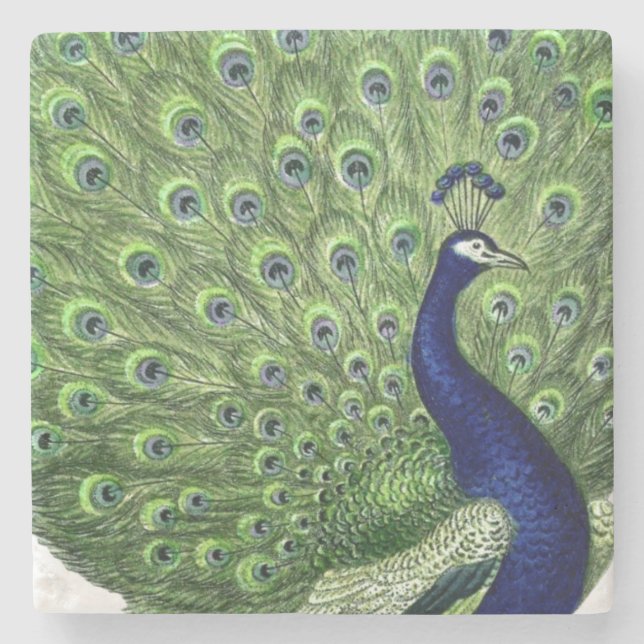 Vintage Peacock Stone Coaster (Front)
