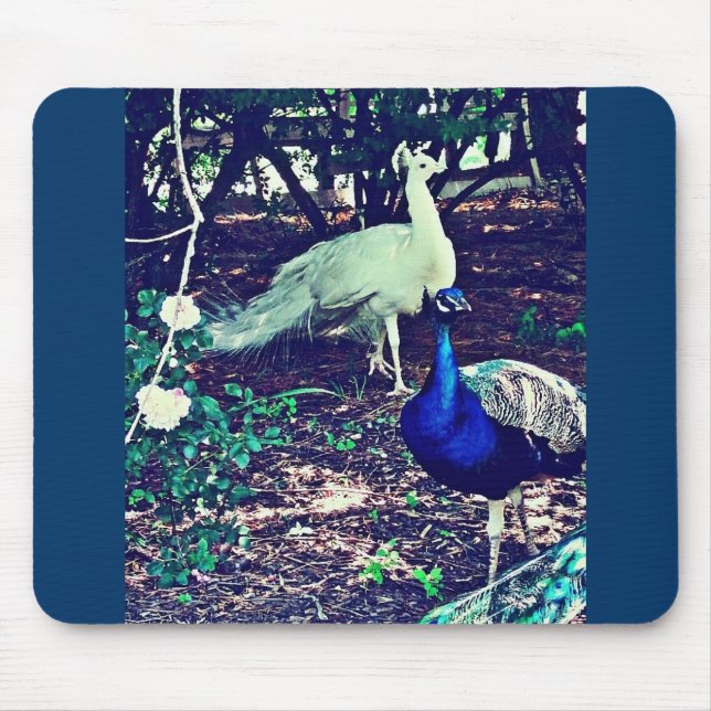 Vintage Peacocks Mouse Pad (Front)