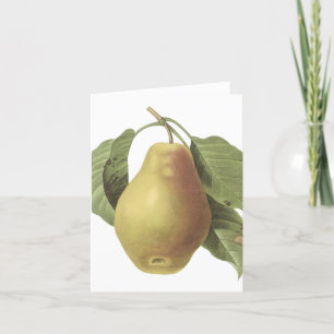 Vintage Pear...notecard Card