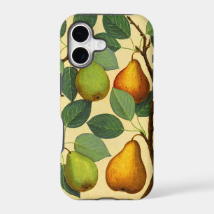 Vintage Pears