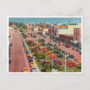 Vintage Pensacola Florida Palafox Street Scene Postcard