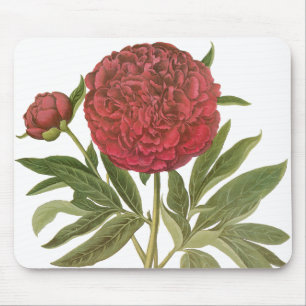 Vintage Peonies, Peony Flowers by Basilius Besler Mouse Pad