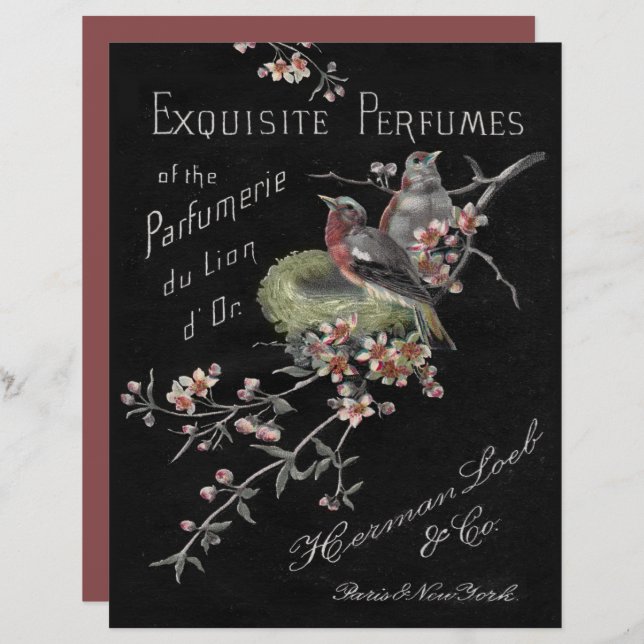 Vintage Perfumes Floral Birds Nest Scrapbook Paper (Front/Back)