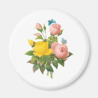 Vintage Persian Yellow Rose Tea Roses by Redoute Magnet