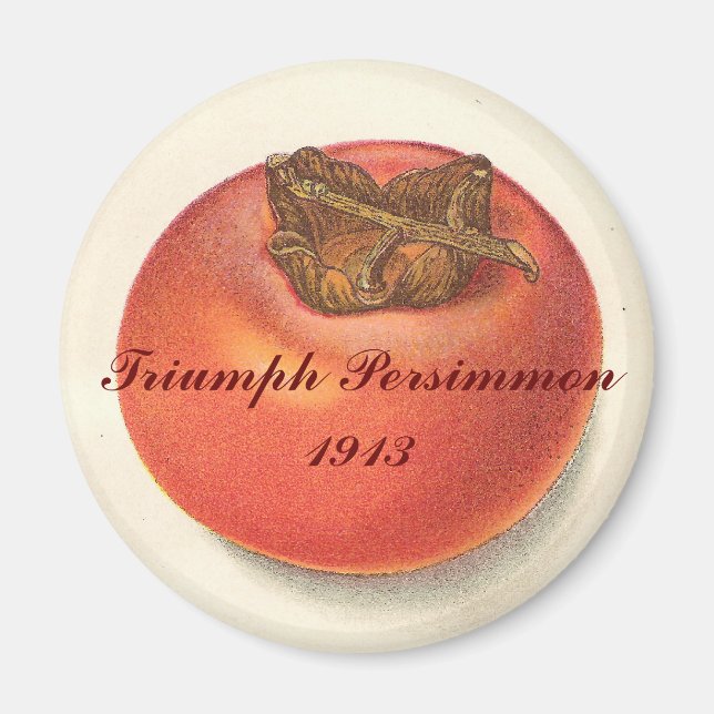Vintage Persimmon Magnet (Front)