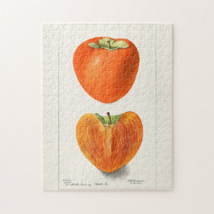 Vintage Persimmons Fruit Watercolor Painting Jigsaw Puzzle