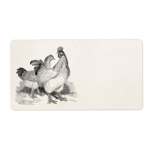 Vintage Personalised Chicken Rooster Cochin Birds