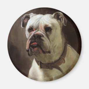 Vintage Pet Animals, Boxer Puppy Dog Portrait Magnet