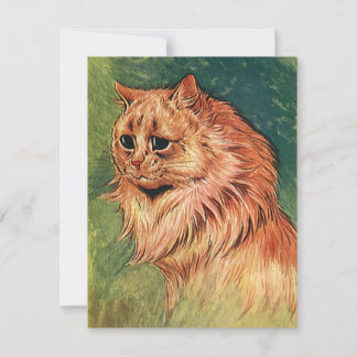 Vintage Pet Animals, Long Haired Orange Cat