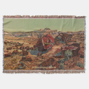 Vintage Petrified Desert Throw Blanket