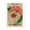 vintage petunia seed packet postcard