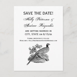 Vintage Pheasant Game Bird Drawing BW Announcement Postcard