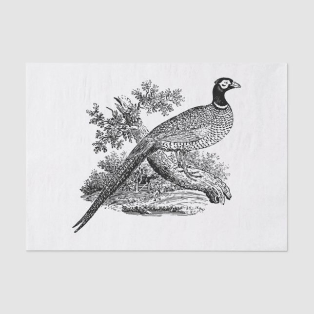 Vintage Pheasant Game Bird Drawing BW Tissue Paper (Front)