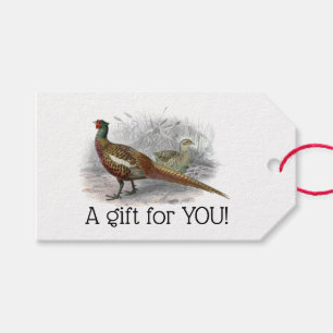 Vintage Pheasant Game Bird Drawing Colour #2 Gift Tags