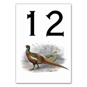 Vintage Pheasant Game Bird Drawing Colour #2 Table Number