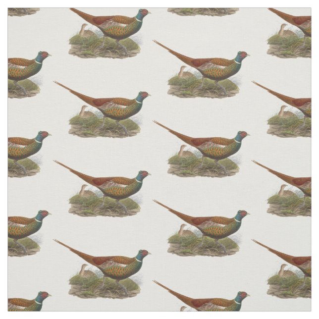 Vintage Pheasant Game Bird Drawing Colour Fabric (Swatch)