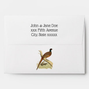 Vintage Pheasant on Branch Game Bird Drawing Colou Envelope