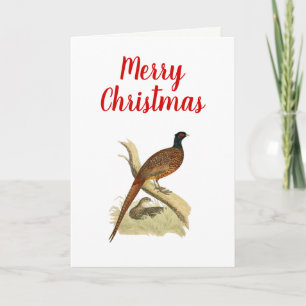 Vintage Pheasant on Branch Game Bird Drawing Colou Holiday Card