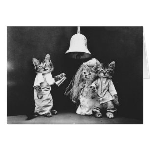 Vintage Photo - A Kitty Cat Wedding,
