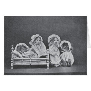 Vintage Photo - Bedtime for Four Kittens,