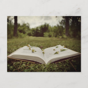 Vintage Photo   Book and Wildflowers Nature Scene Postcard